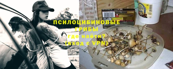 стафф Нягань