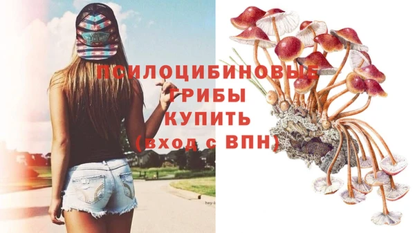 стафф Нягань