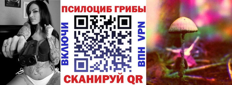 Псилоцибиновые грибы Cubensis  Купить где  Артём 